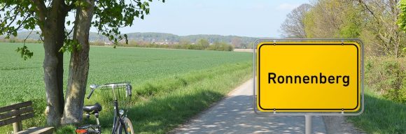Immobilienpreise Ronnenberg